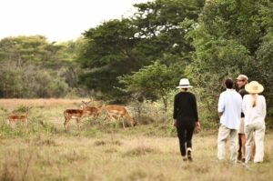 walking-safari-Zuid-afrika-Moya-Safari-Lodge